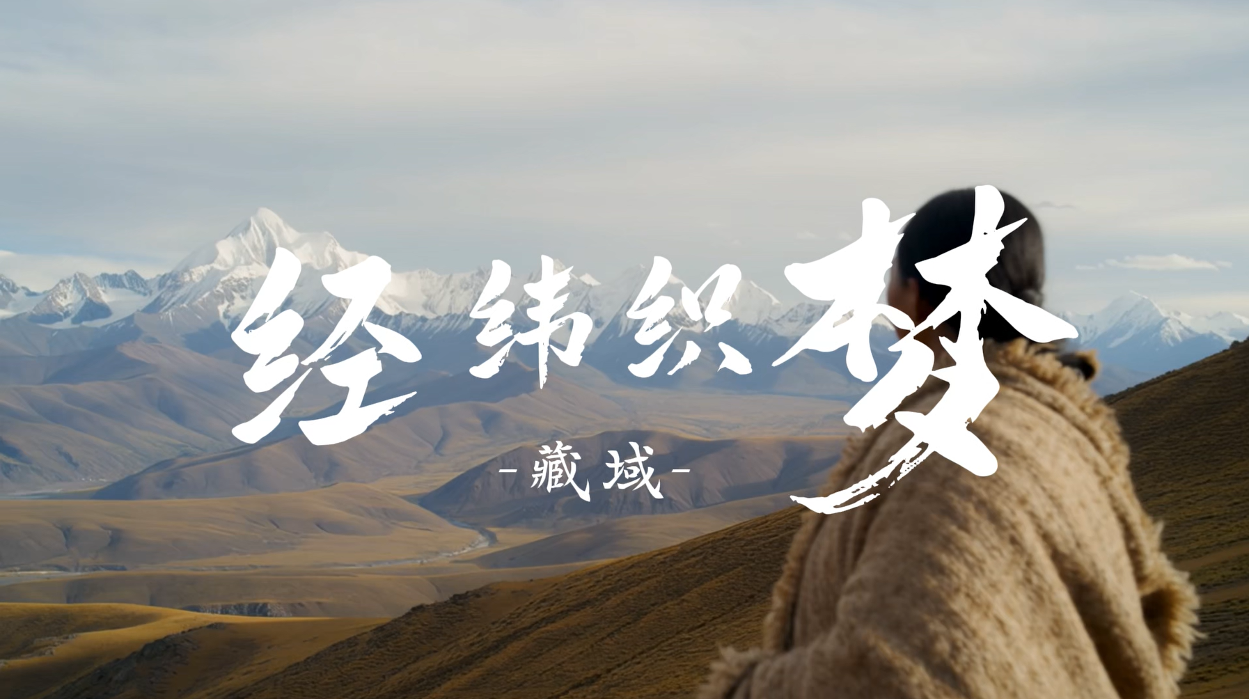 经纬织梦 封面